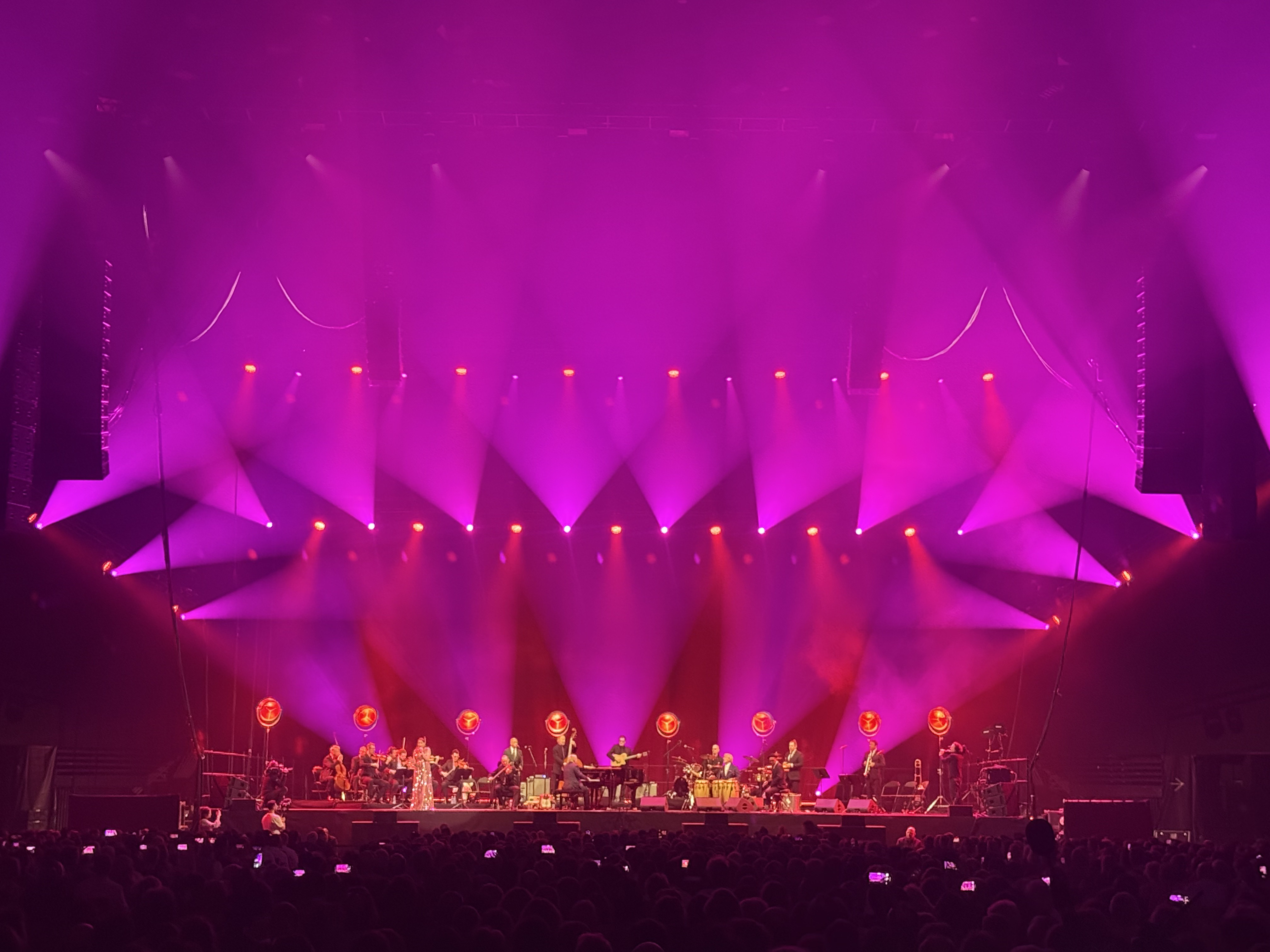 Réalisation de Pink Martini à Bercy